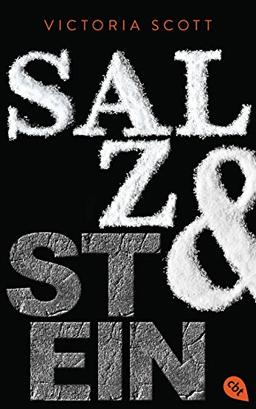 Salz & Stein (Die Feuer & Flut-Romane, Band 2)