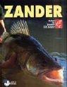 Zander