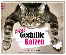 Total Gechillte Katzen