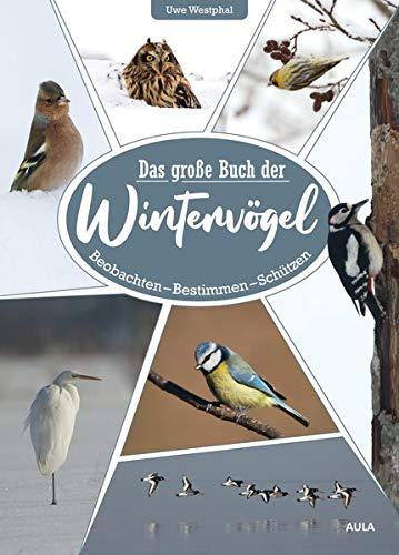 Das große Buch der Wintervögel: Beobachten – Bestimmen – Schützen: Beobachten - Bestimmen - Schtzen