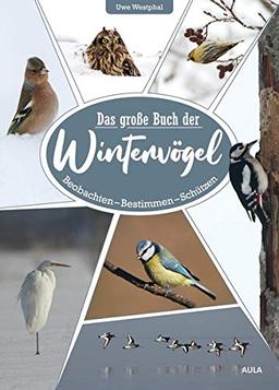 Das große Buch der Wintervögel: Beobachten – Bestimmen – Schützen: Beobachten - Bestimmen - Schtzen