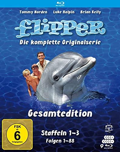 Flipper Gesamtedition - Die komplette Originalserie (Staffeln 1-3) (Fernsehjuwelen) [Blu-ray]