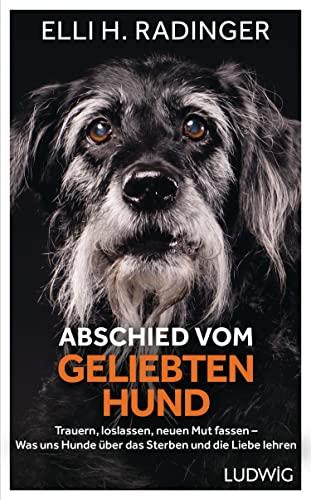 Abschied vom geliebten Hund: Trauern, loslassen, neuen Mut fassen – Was uns Hunde über das Sterben und die Liebe lehren