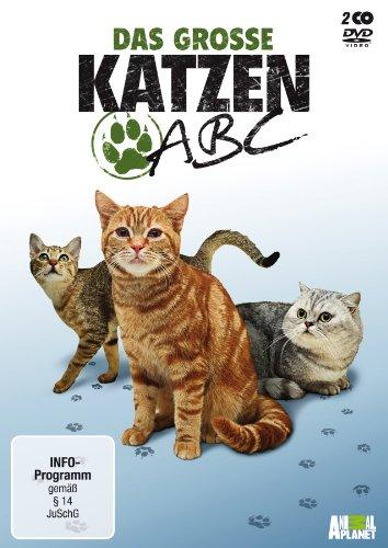 Das große Katzen-ABC [2 DVDs]