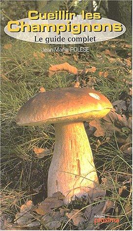 Cueillir les champignons : le guide complet