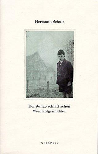 Der Junge schläft schon: Wendlandgeschichten