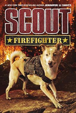 Scout: Firefighter (Scout, 2, Band 2)