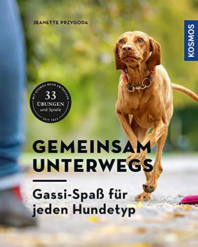 Gemeinsam unterwegs: Gassi-Spaß für alle Hundetypen