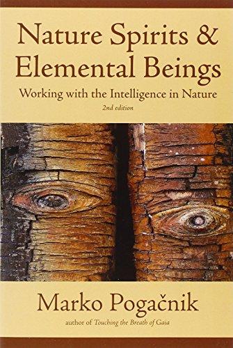 Nature Spirits & Elemental Beings: Working with the Intelligence in Nature