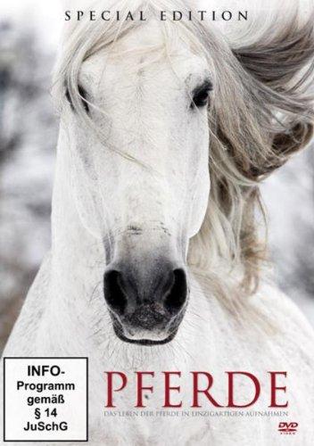 Special Edition - PFERDE