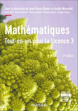 Mathématiques, tout-en-un pour la licence 3