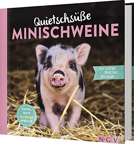 Quietschsüße Minischweine: Die lustige Welt der Minipigs