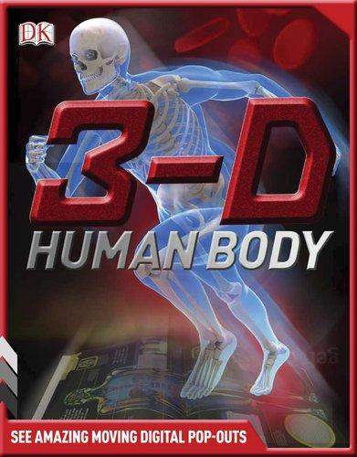 3-d Human Body