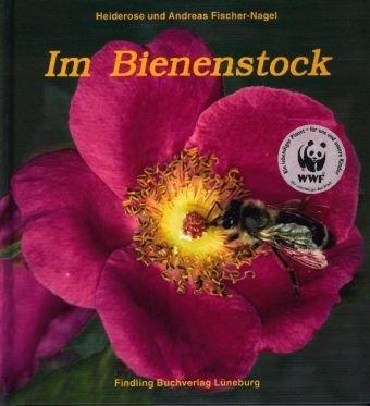 Im Bienenstock