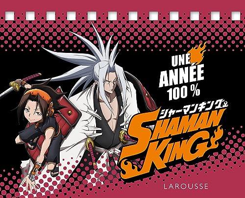 Une année 100 % Shaman King