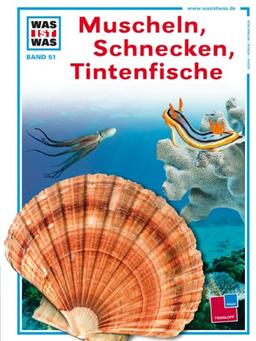 Was ist was, Band 051: Muscheln, Schnecken, Tintenfische