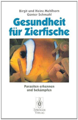 Gesundheit für Zierfische: Parasiten erkennen und bekämpfen