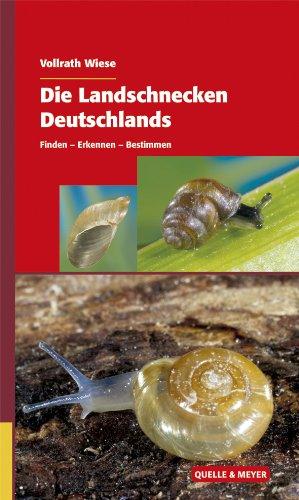 Die Landschnecken Deutschlands: Finden - Erkennen - Bestimmen