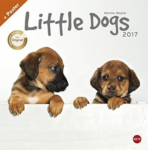 Wegler Little Dogs Broschurkalender - Kalender 2017