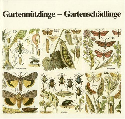 Gartennützlinge - Gartenschädlinge