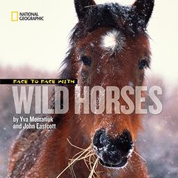 Face to Face With Wild Horses (Face to Face with Animals)