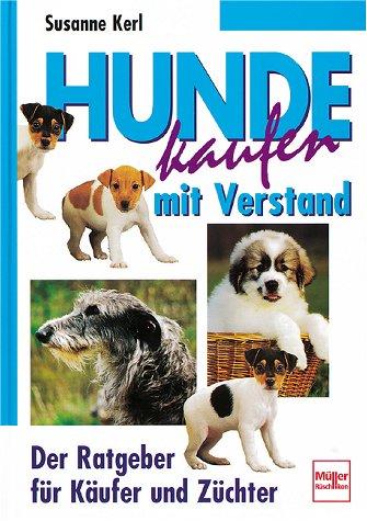 Hunde kaufen mit Verstand