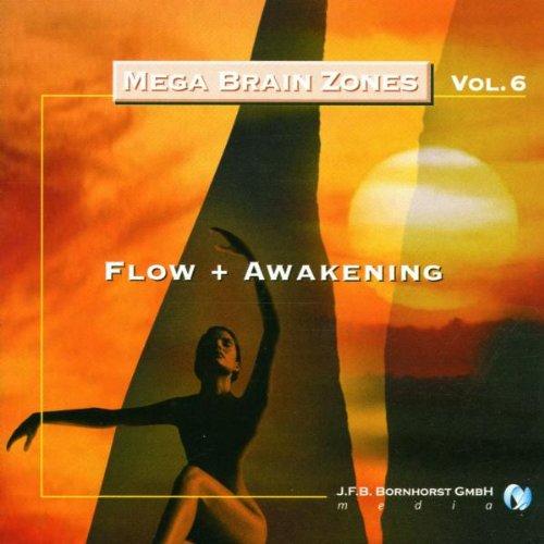 Mega Brain Zones, Audio-CDs, Vol.6, Flow + Awakening, 1 Audio-CD: BD 6