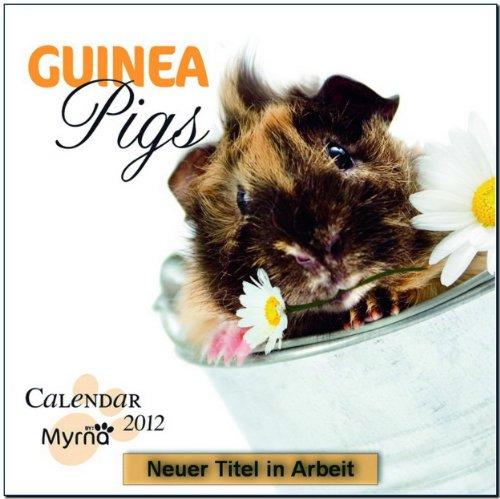 Guinea Pigs 2014 - Meerschweinchen: Original BrownTrout-Kalender - Myrna Kalender