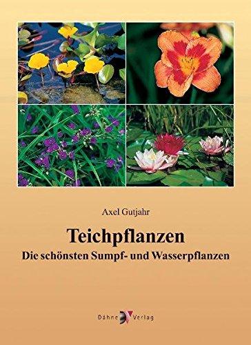 Teichpflanzen: Die schönsten Sumpf- und Wasserpflanzen