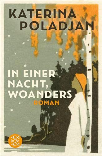 In einer Nacht, woanders: Roman