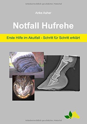 Notfall Hufrehe: Erste Hilfe im Akutfall - Schritt für Schritt erklärt