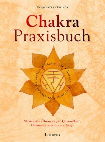 Das Chakra-Praxisbuch