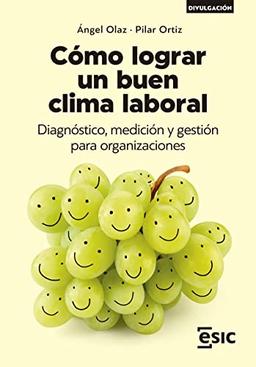 Cómo lograr un buen clima laboral: Diagnóstico, medición y gestión para organizaciones (Divulgación)