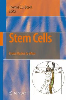 Stem Cells: From Hydra to Man