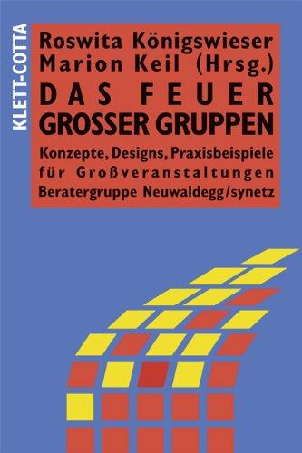 Das Feuer großer Gruppen: Konzepte, Designs, Praxisbeispiele für Grossveranstaltungen