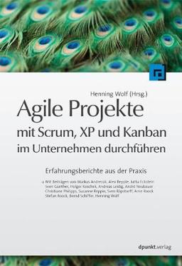 Agile Projekte mit Scrum, XP und Kanban im Unternehmen durchführen: Erfahrungsberichte aus der Praxis