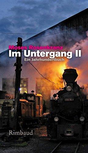 Im Untergang II: Ein Jahrhundertbuch (Bukowiner Literaturlandschaft)