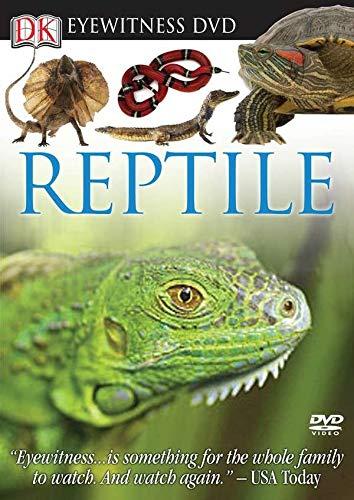 Eyewitness DVD: Reptile