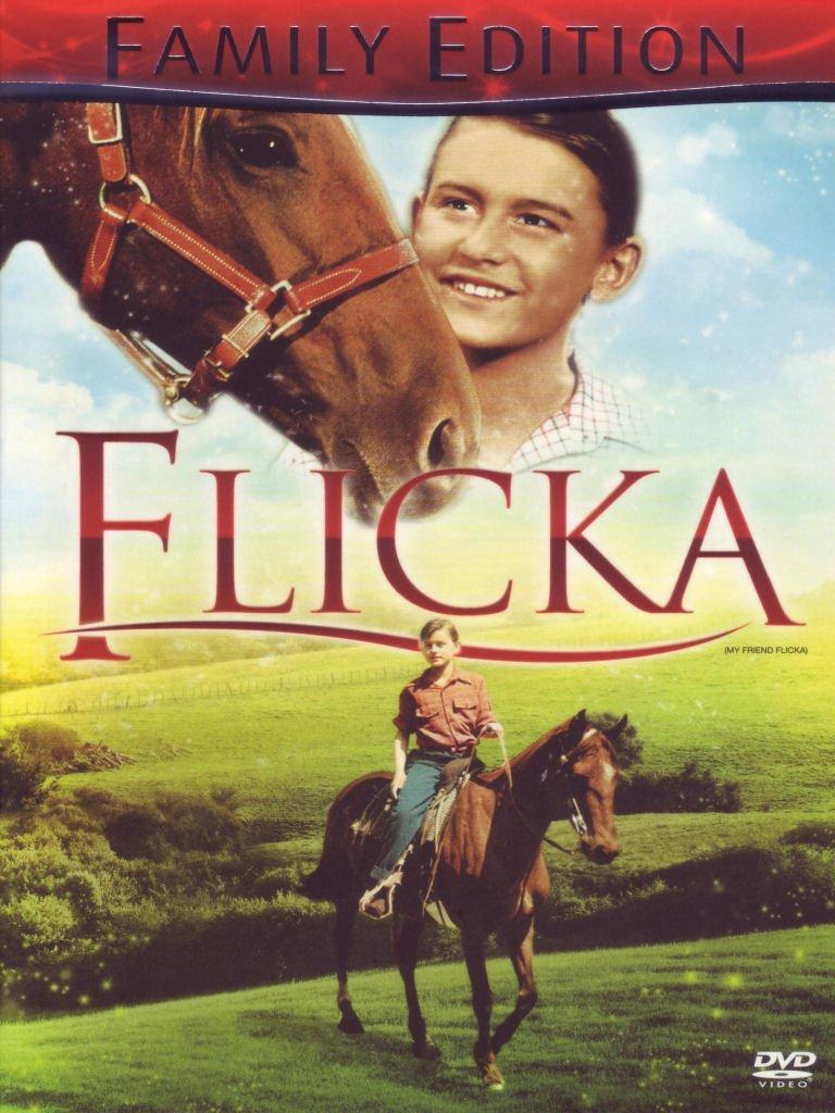 Flicka (family edition) [IT Import]