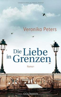 Die Liebe in Grenzen: Roman