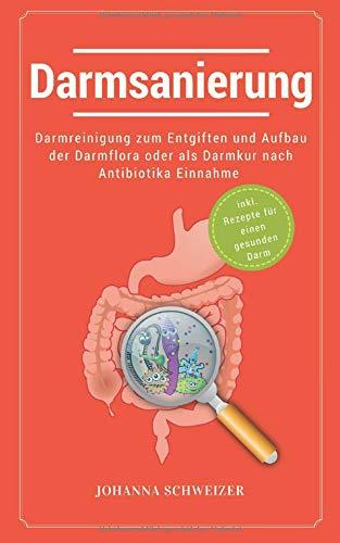 Darmsanierung: Darmreinigung zum Entgiften und Aufbau der Darmflora oder als Darmkur nach Antibiotika Einnahme: (inkl. Rezepte für einen gesunden Darm)