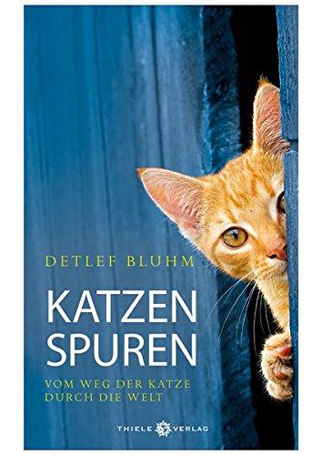 Katzenspuren