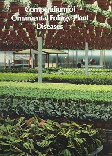 Compendium of Ornamental Foliage Plant Diseases