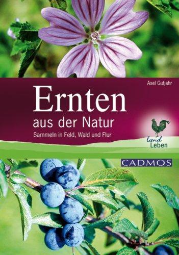 Ernten aus der Natur: Sammeln in Feld, Wald und Flur