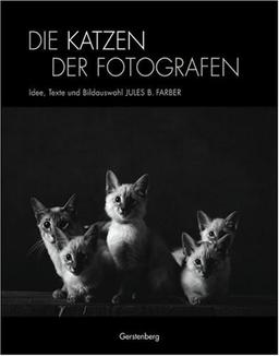 Die Katzen der Fotografen