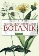 Kleines Repetitorium der Botanik