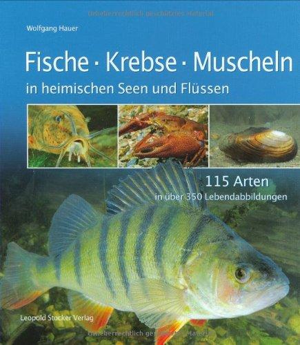 Fische, Krebse, Muscheln in heimischen Seen und Flüssen: 115 Arten in über 350 Lebendabbildungen