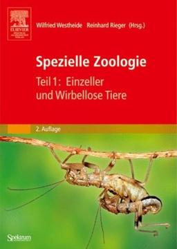 Spezielle Zoologie. Teil 1: Einzeller und Wirbellose Tiere (Sav Biologie)