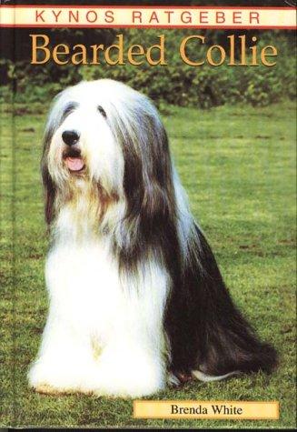 Bearded Collie