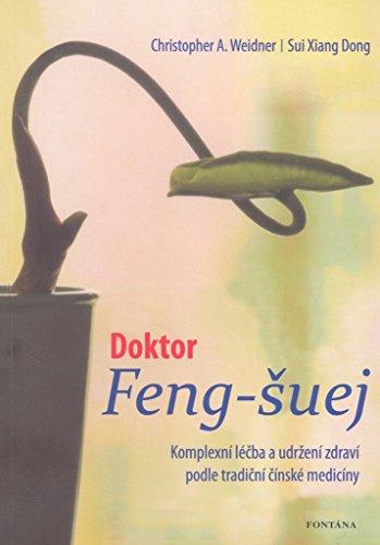 Doktor Feng-šuej (2011)